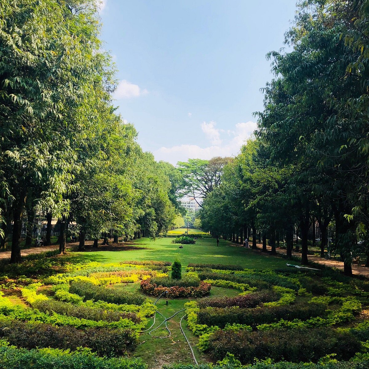 Green heaven of Bengaluru - Cubbon Park